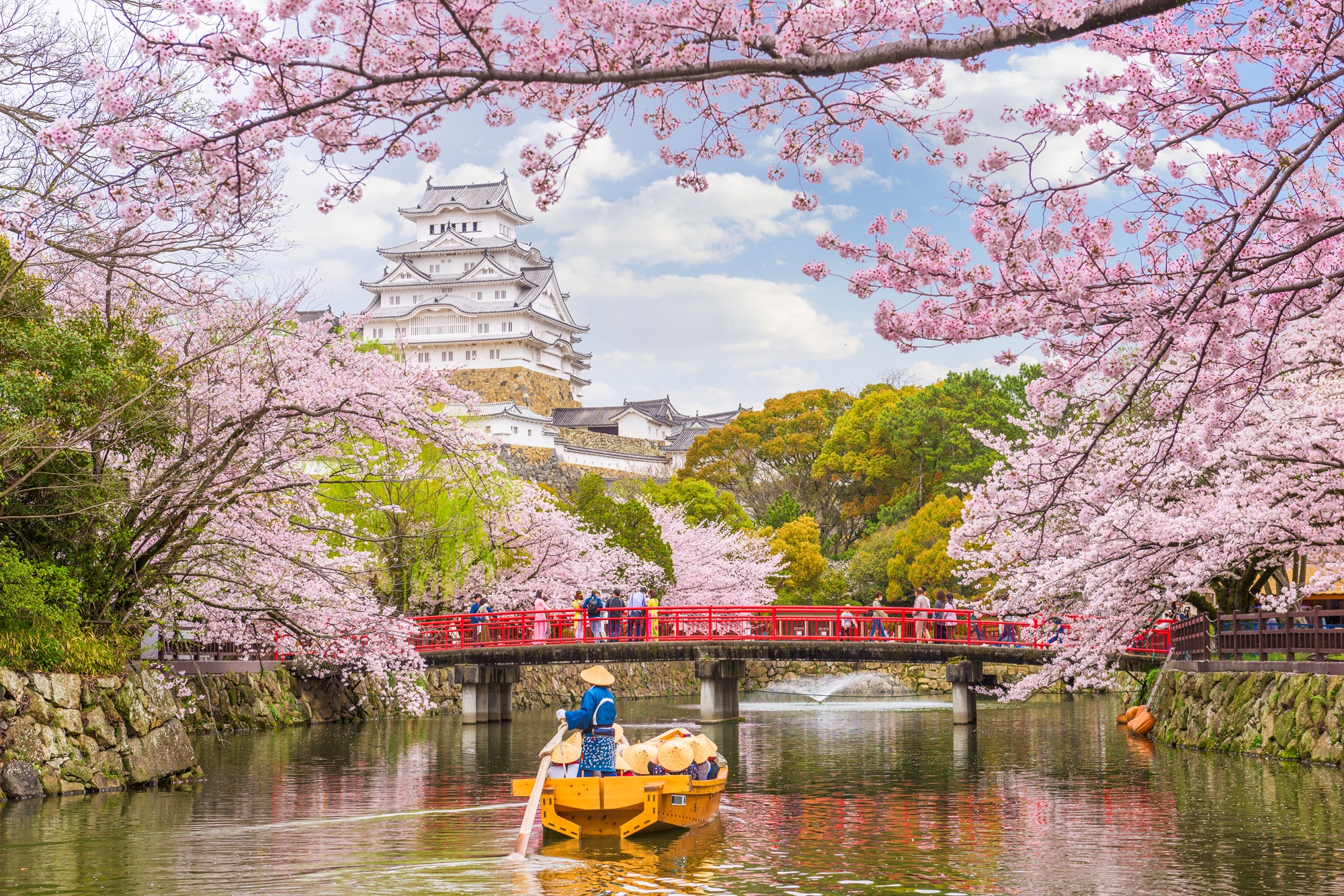 A tranquil Japanese garden with cherry blossoms in full bloom and Mount Fuji in the background.